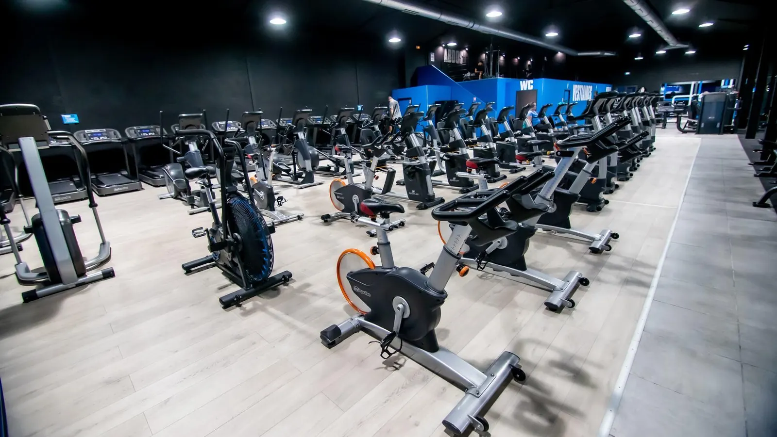Plateau cardio avec vélos, elliptiques et tapis alignés