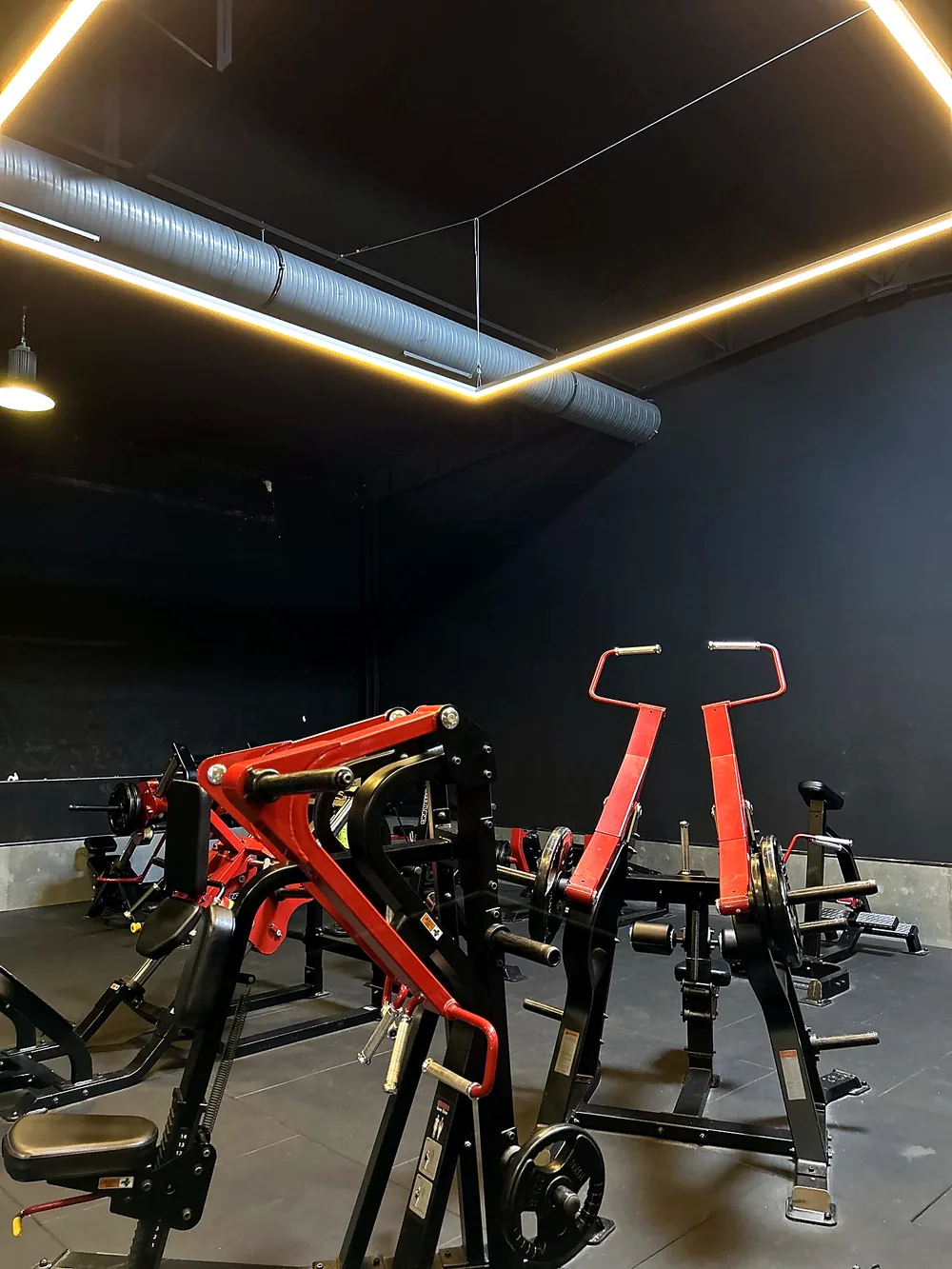 Machines de musculation guidées à disques sous cadre lumineux