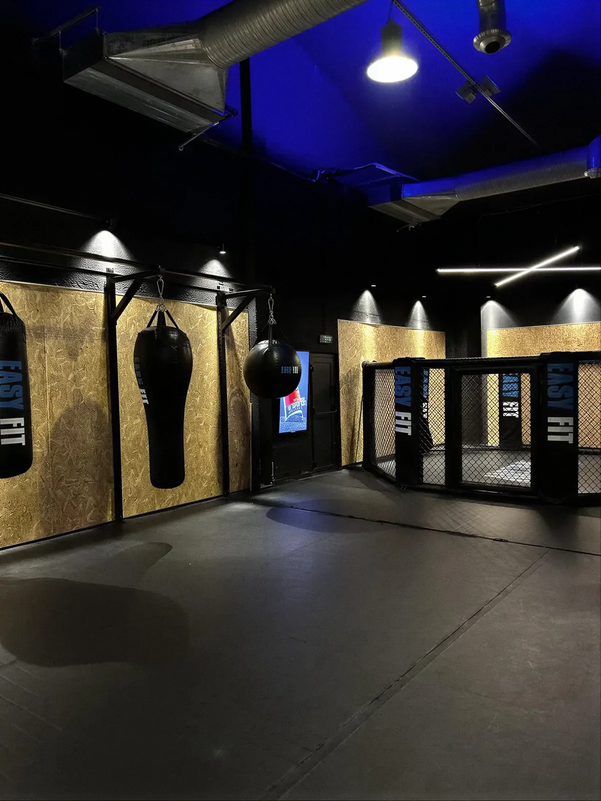 Espace combat avec sacs de frappe et cage en fond