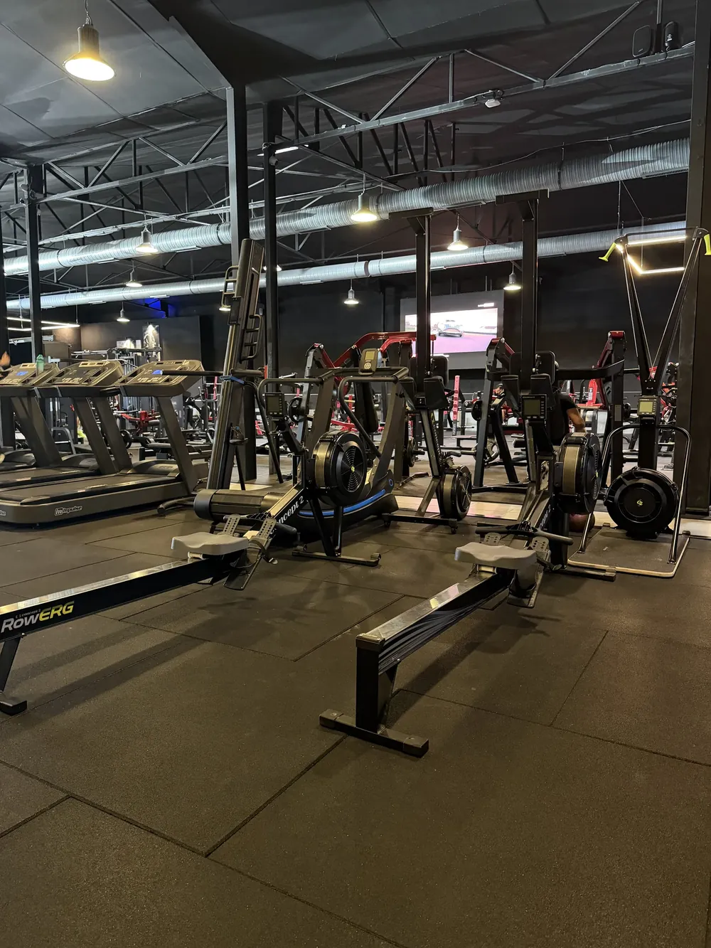 Machines du plateau Cardio training