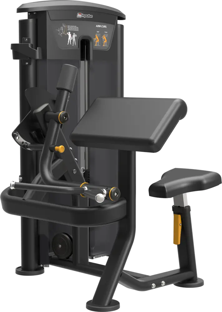 Curl biceps, Impulse IT9503